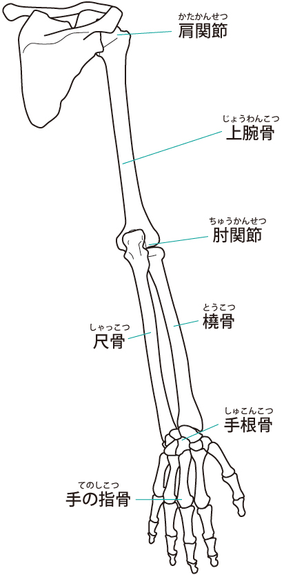 ばね指の原因は体の歪みです。