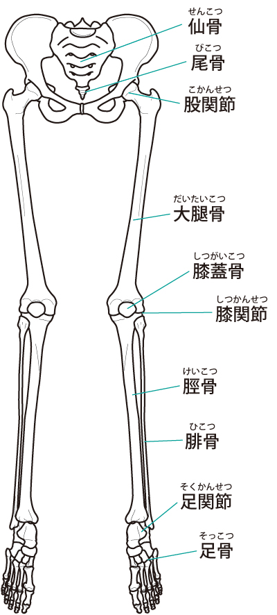 ランナー膝への当院のアプローチは？