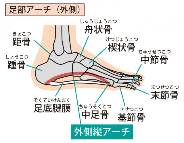 外反母趾の原因は体の歪みです。