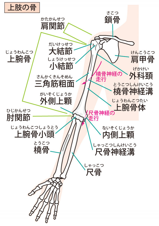 当院の「手首の痛み」に対してのアプローチ